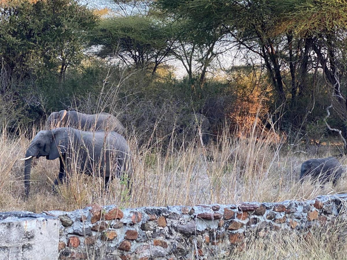 Big 5 Toro Lodge Kasane Extérieur photo