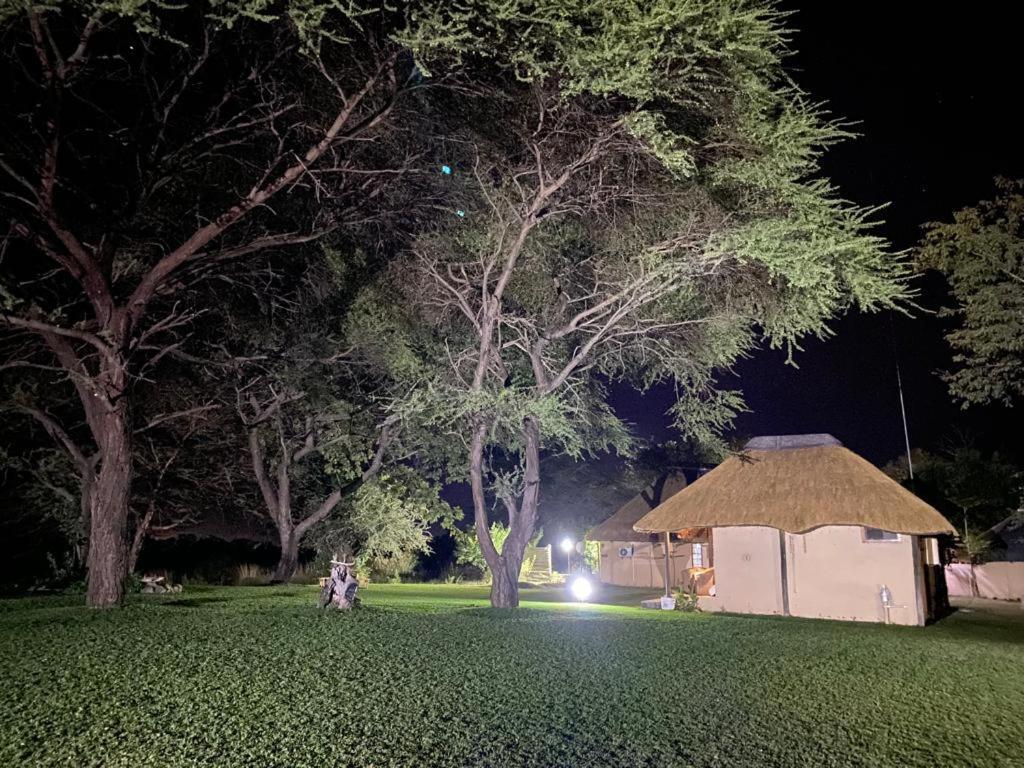 Big 5 Toro Lodge Kasane Extérieur photo